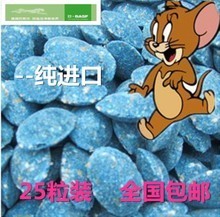 高效除鼠新選擇 最新粘鼠板產品全方位解析與選購指南