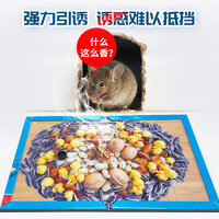 2025年度十款熱門粘鼠板產品榜 居家防鼠，值得入手的強力推薦